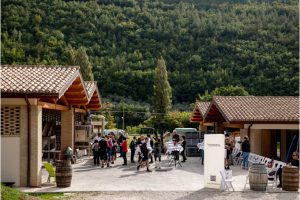 pedalata-assisi-spoleto-frantoiaperti_11_